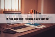 青少年篮球联赛（全国青少年篮球联赛）