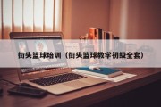 街头篮球培训（街头篮球教学初级全套）