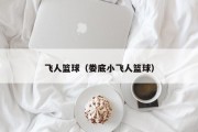 飞人篮球（娄底小飞人篮球）