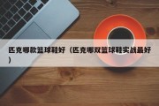 匹克哪款篮球鞋好（匹克哪双篮球鞋实战最好）
