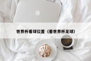 世界杯看球位置（看世界杯足球）