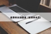 世界杯头球摆渡（世界杯头型）