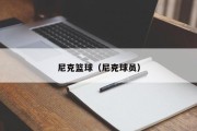 尼克篮球（尼克球员）