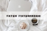 只关于篮球（只关于篮球的邢晨是谁）