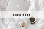 鲁锋篮球（鲁锋身高）