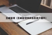 王峰篮球（王峰篮球球员信息简介图片）