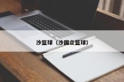 沙篮球（沙国立篮球）