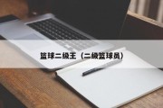 篮球二级王（二级篮球员）